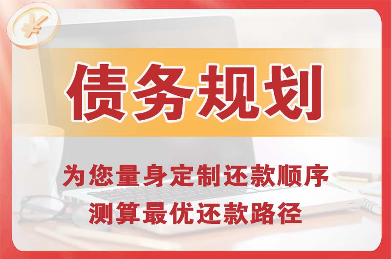 易县债务规划